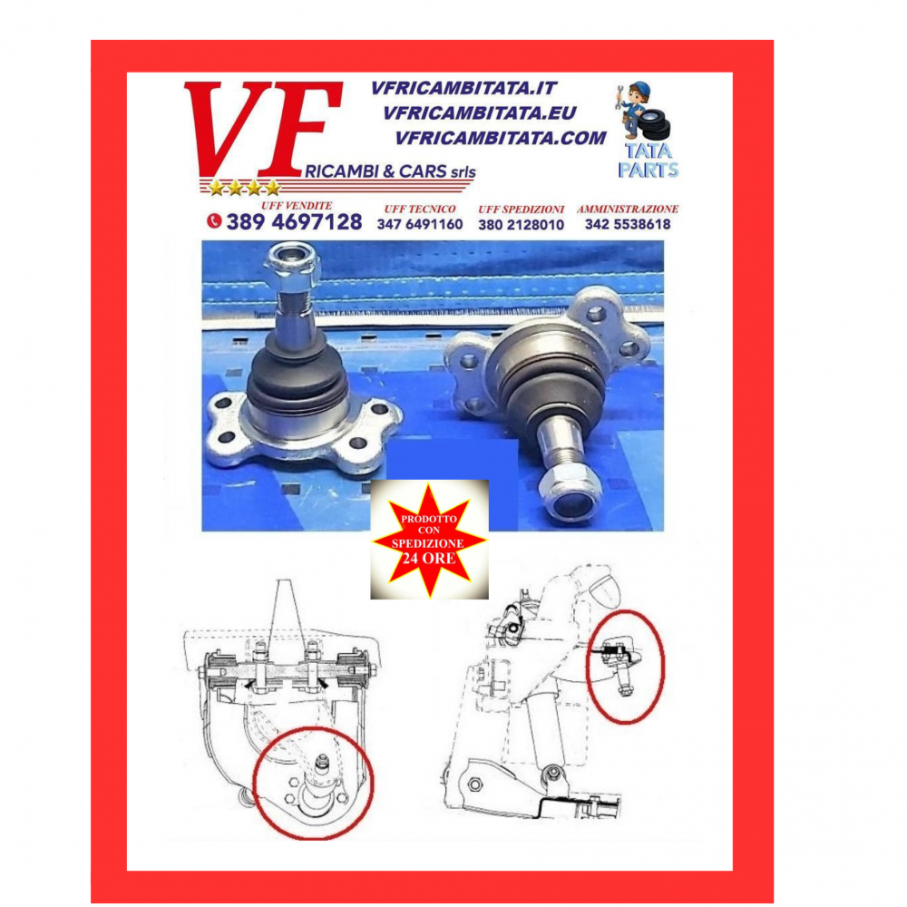 SAFARI - TELCOLINE - XENON : BRACCIO SOSPENSIONE SUPERIORE - TESTINA - COD-M0036-TRV9 -RICAMBIO IN OFFERTA CON SPEDIZIONE IN 24 ORE